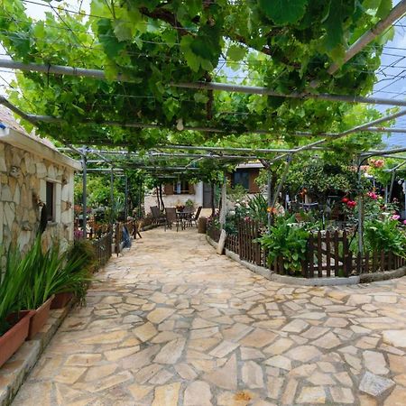 Dimitris'S Country House Agia  외부 사진