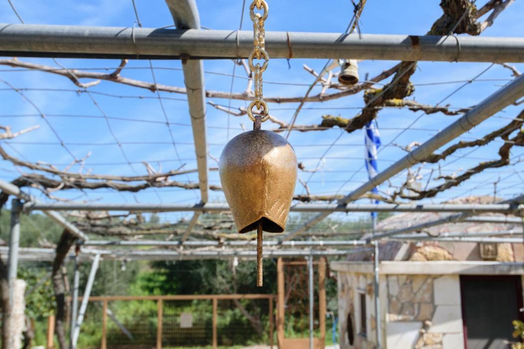 Dimitris'S Country House Agia  외부 사진