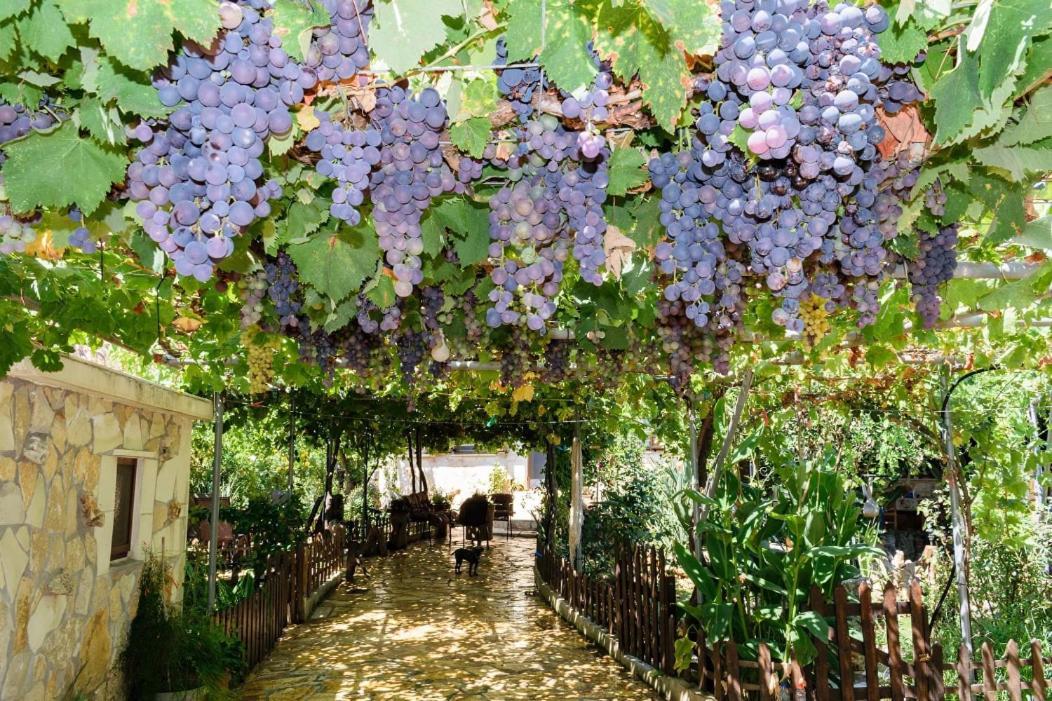 Dimitris'S Country House Agia  외부 사진