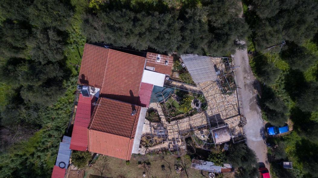 Dimitris'S Country House Agia  외부 사진