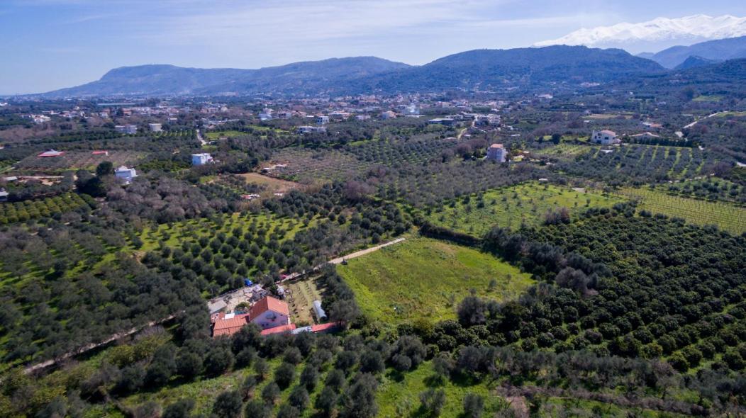 Dimitris'S Country House Agia  외부 사진