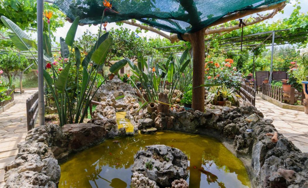 Dimitris'S Country House Agia  외부 사진
