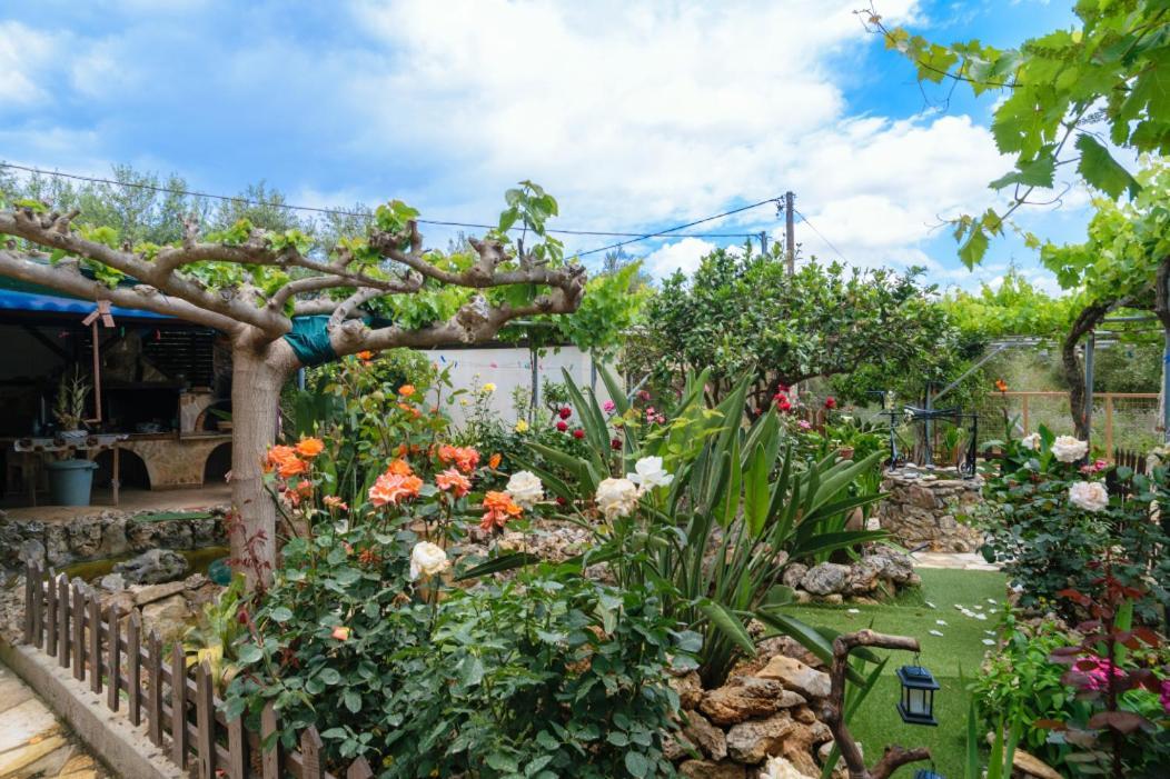 Dimitris'S Country House Agia  외부 사진