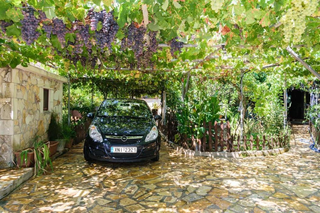 Dimitris'S Country House Agia  외부 사진