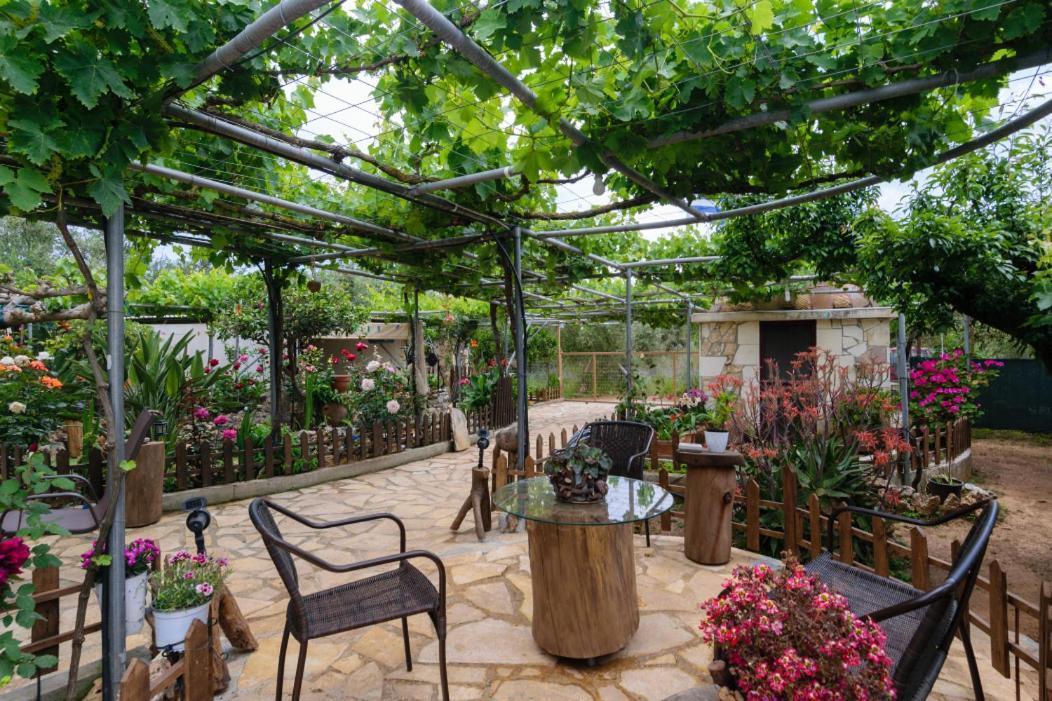 Dimitris'S Country House Agia  외부 사진