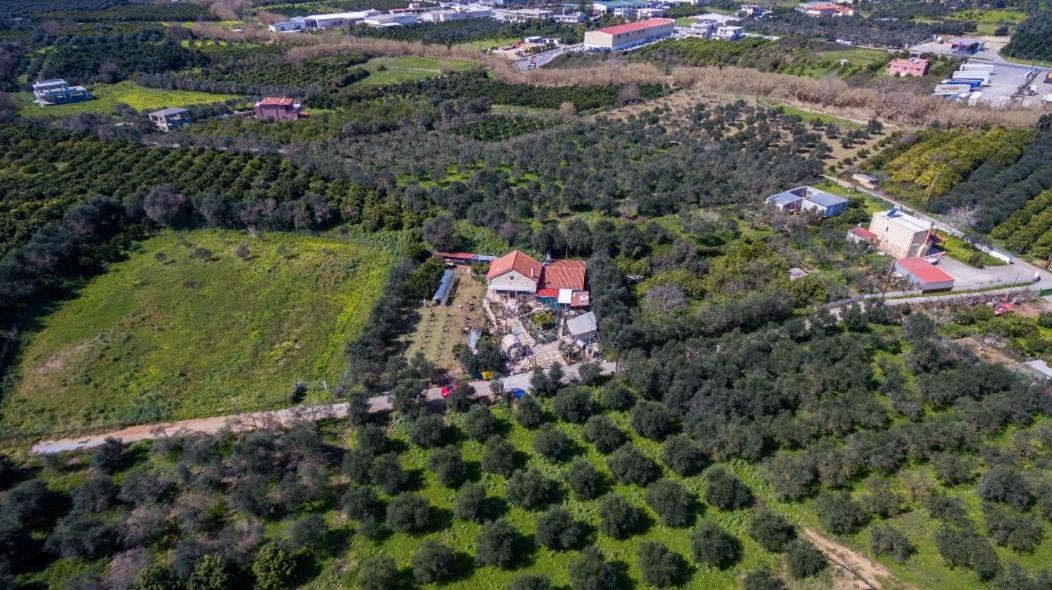 Dimitris'S Country House Agia  외부 사진