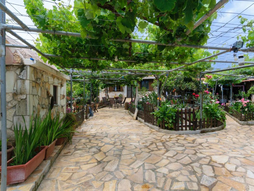 Dimitris'S Country House Agia  외부 사진